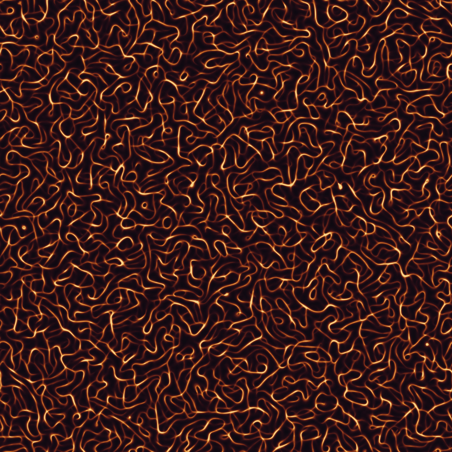 Physarum Embers — dense orange filament network on black